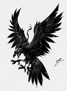 a black and white drawing of a bird with wings spread