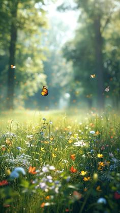 a field with lots of flowers and butterflies flying in the air over it's grass