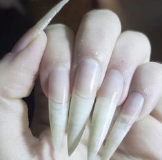 Long Stiletto Nails, Mermaid Aesthetic, Wattpad Fanfiction, Shiny Hair, Gorgeous Nails, Stiletto Nails