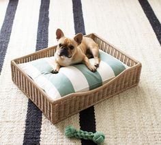 a small dog laying on top of a pillow in a basket next to a green and white striped rug