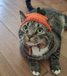 a cat wearing an orange knitted hat laying on the floor