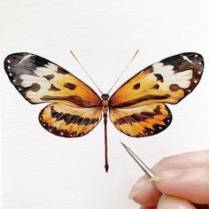 a hand holding a pair of scissors near a painting of a yellow and black butterfly