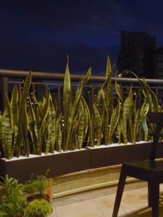 a chair and table on a balcony at night with plants in the backgrounnd