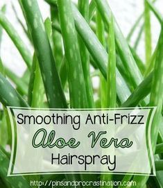 Smoothing Anti-Frizz Aloe Vera Hairspray Aloe Vera Face Wash, Aloe Vera Moisturizer, Anti Frizz Spray, Skin Recipes, Aloe Vera Skin, Aloe Vera For Face