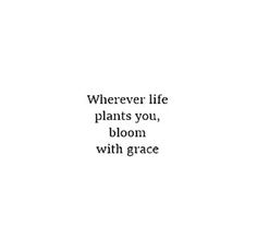 a quote that reads, wherever life plants you, bloom with grace