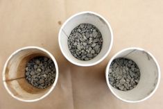 three white cups filled with gravel on top of a table