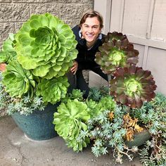 a woman kneeling in front of a potted plant with succulents on it