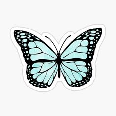 a blue butterfly with the words blue butterfly on it's back and bottom corner