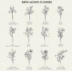 the birth month flowers are shown in black and white, as well as their names