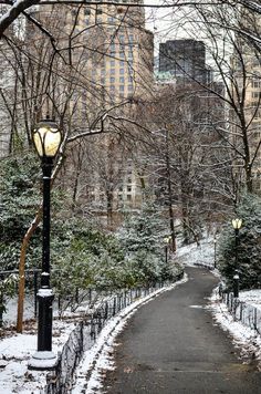 a street light in the middle of a snowy park