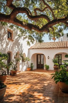 a white house with potted plants in front of it and a large tree hanging over the entrance