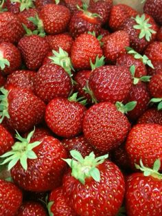 a bunch of red strawberries sitting on top of each other