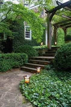 there are many lights that are on the steps in front of this house and bushes