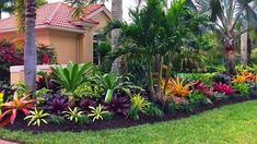 tropical garden with palm trees and flowers in front of a house