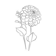 a black and white drawing of a flower