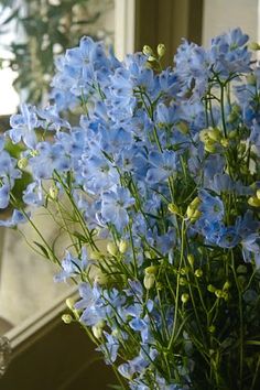 blue flowers are in a vase near a window