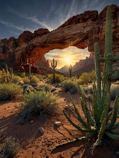 the sun is setting behind an arch in the desert with cactus and cacti