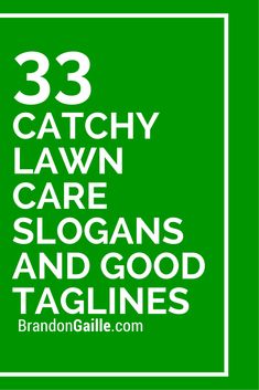 the words 33 catchy lawn care slogans and good taglines in white on a green background