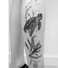 Looking for unique sea animal tattoos for women? Dive into stunning underwater ink with this collection of beautiful designs. From graceful dolphins to majestic sea turtles, these tattoos are perfect for any ocean lover. Explore the beauty of the sea with these breathtaking tattoo ideas. Turtle Tattoo Ideas For Women, Sea Animal Tattoos For Women, Sea Turtle Tattoo Ideas, Sea Animal Tattoos, Sea Tattoo Sleeve, Turtle Tattoo Ideas, Coverup Tattoo Ideas, Coral Tattoo, Underwater Tattoo