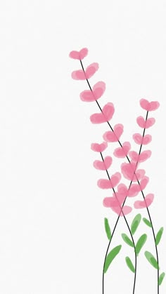 some pink flowers on a white background