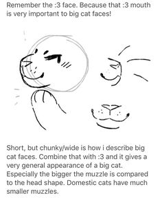 a drawing of a cat with the caption's description below it, and an article about how to draw cats