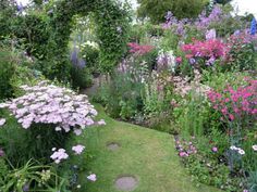 a garden filled with lots of flowers next to a lush green field covered in purple and white