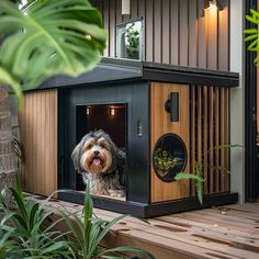 a small dog in a wooden kennel on a deck with plants and greenery