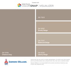 the colorsnap visualizer is shown in this color scheme, which includes neutrals and