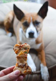 a person holding a piece of pizza in front of a dog