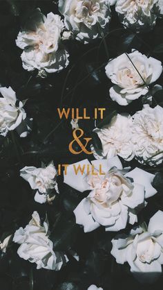 white flowers with the words will it and time written in gold lettering on black background