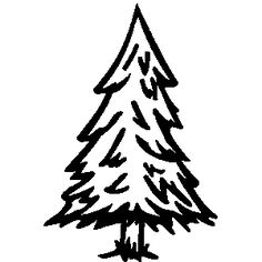 a black and white drawing of a pine tree