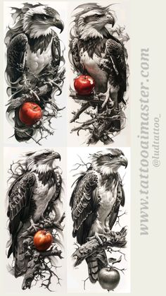 four different pictures of birds with apples in their beaks, and one bird holding an apple