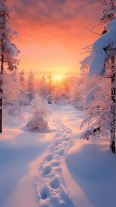 the sun is setting over a snowy landscape with footprints in the snow and trees on either side