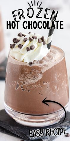 a chocolate dessert with whipped cream and chocolate chips