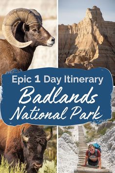 the badlands national park is one of the best things to see in this trip