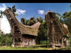 two wooden buildings with thatched roofs and palm trees in the background