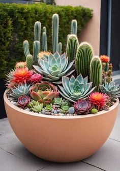 Mini Cactus Garden, Potted Plants Patio, Succulent Garden Landscape, Cactus Arrangement, Succulent Landscape Design, Front Garden Landscape, Succulent Garden Design, Potted Plants Outdoor, Small Backyard Landscaping Ideas