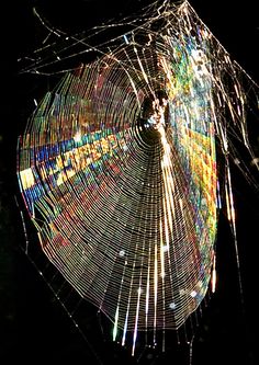 a spider web is shown in the dark with its light reflecting off it's side