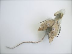 a piece of cloth with white flowers on it sitting on top of a table next to a string