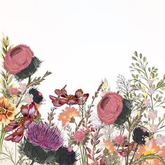 an artistic painting of flowers on a white background