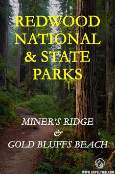 the redwood national and state parks sign in front of trees with text that reads, mine's ridge & gold bluffs beach