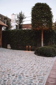 a stone path with trees and bushes on either side, in front of a building