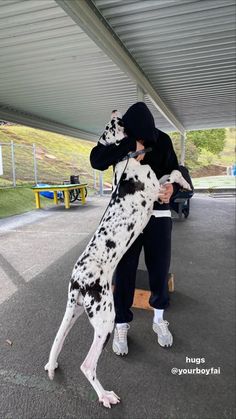 a person in a black hoodie petting a dalmatian on the nose