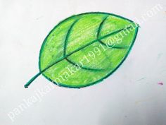 a drawing of a green leaf on white paper