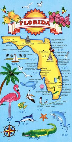 a map of florida with all the states and their major cities on it's blue background