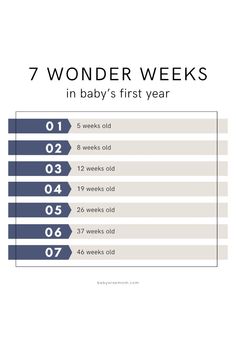 a baby's first year chart with the number of babies born in each month