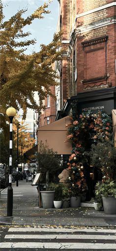 an empty city street with potted plants on the sidewalk