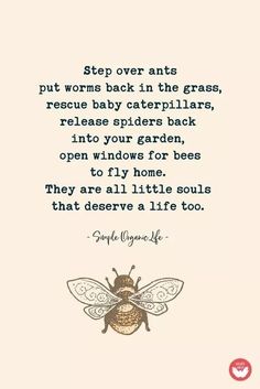 a bee with the quote step over ants put worms back in the grass, rescue baby caterpillars, release spiders back into your garden, open windows for