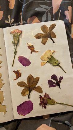 an open book with pressed flowers on it