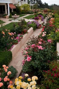 the garden is full of colorful flowers and greenery